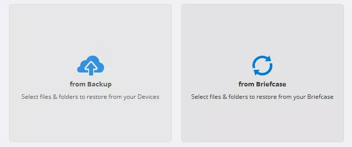 select wether you want to backup from briefcase of online backup