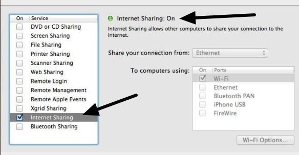 ticked the box for internet sharing 