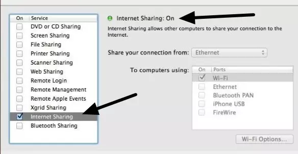 ticked the box for internet sharing 