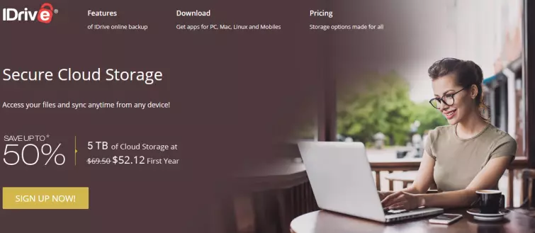 Idrive website