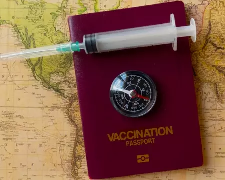 needle and a compass on top of a passport 