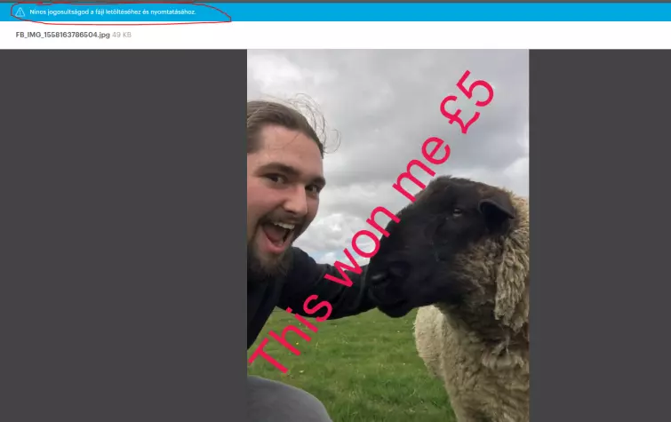 Our writer Andreas sharing a watermarked image of him with a sheep