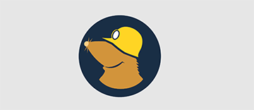 Mullvad Browser