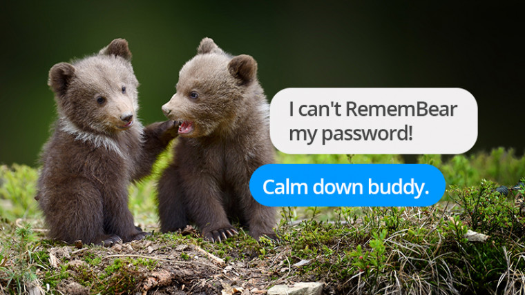 remembear password